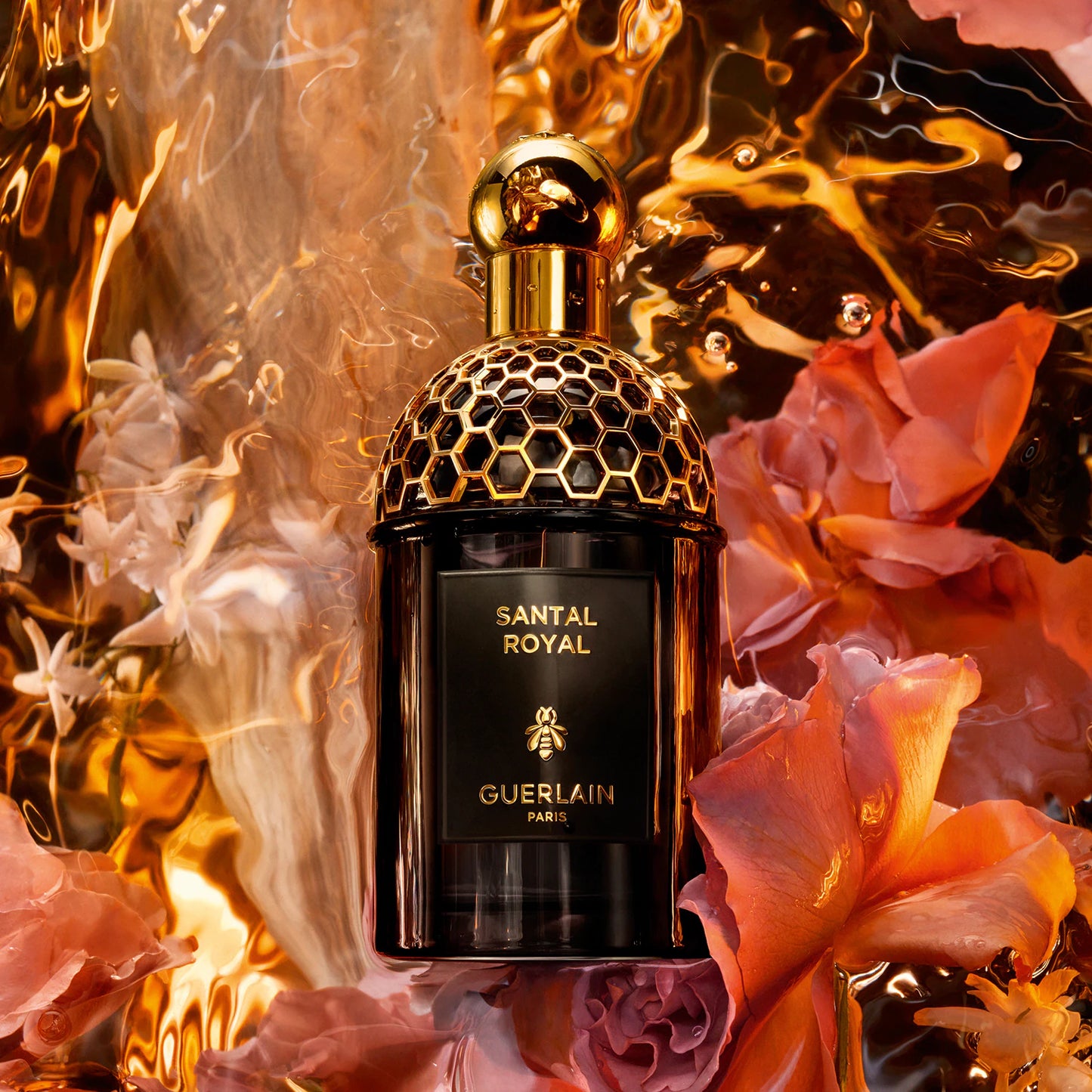 GUERLAIN -Absolus Allegoria Santal Royal - Eau de Parfum