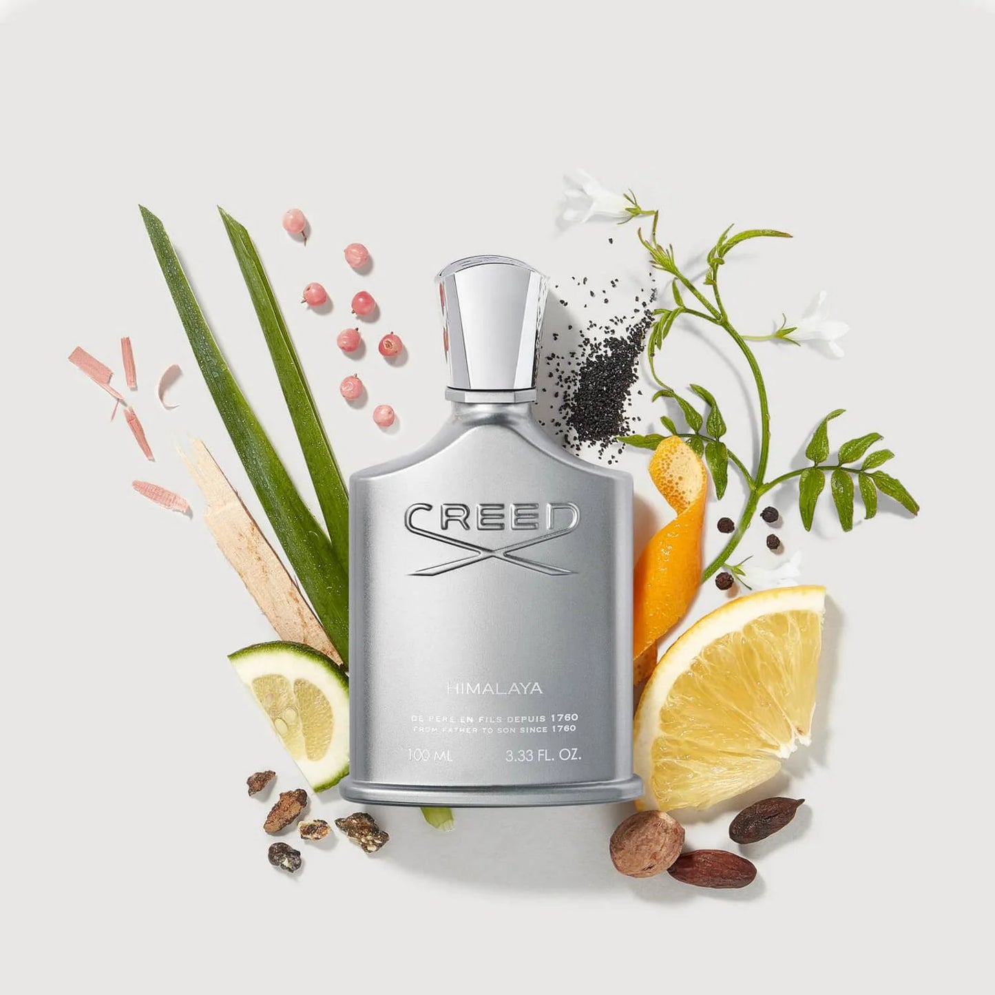 CREED HIMALAYA