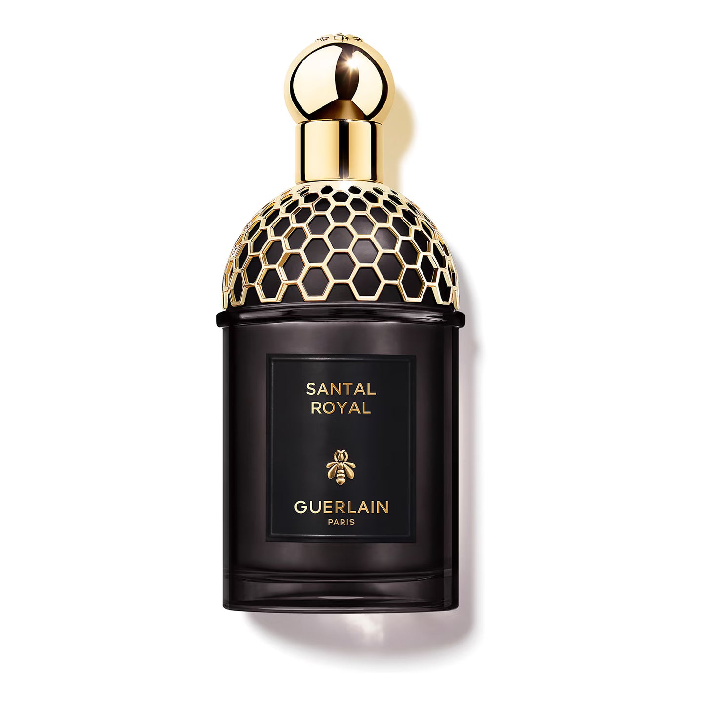 GUERLAIN -Absolus Allegoria Santal Royal - Eau de Parfum