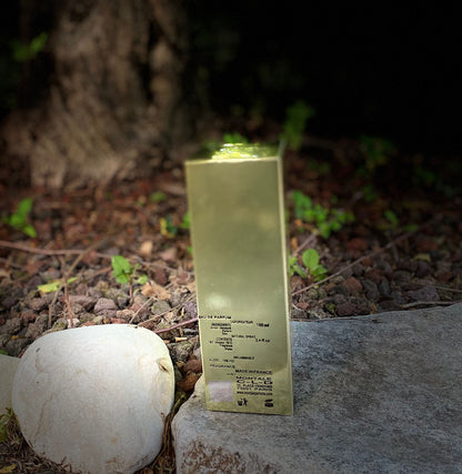 MONTALE PARIS ORANGE FLOWERS