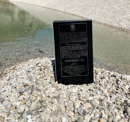 CREED ABSOLU AVENTUS