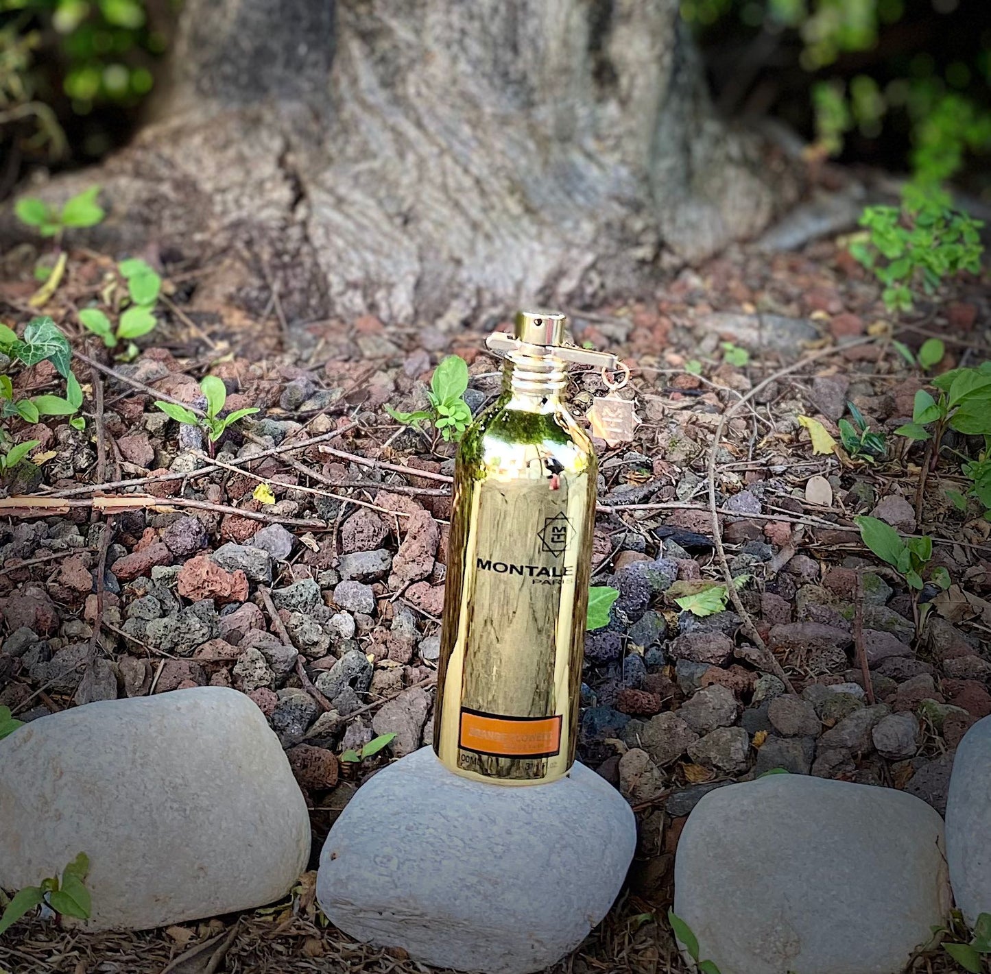 MONTALE PARIS ORANGE FLOWERS