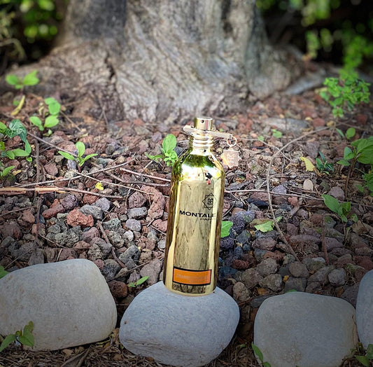 MONTALE PARIS ORANGE FLOWERS